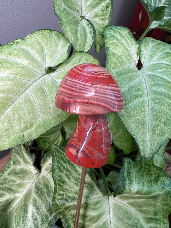 Red Jasper Mushroom