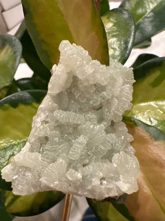 4/13 Prehnite