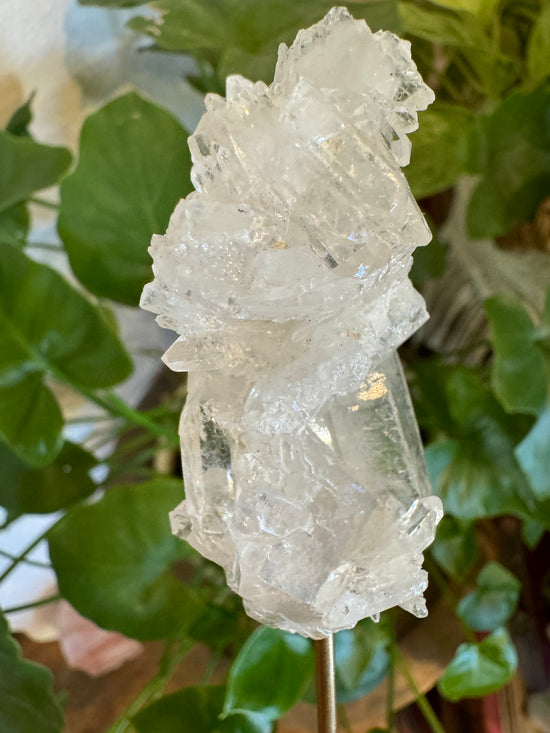 5/5 Quartz Cluster