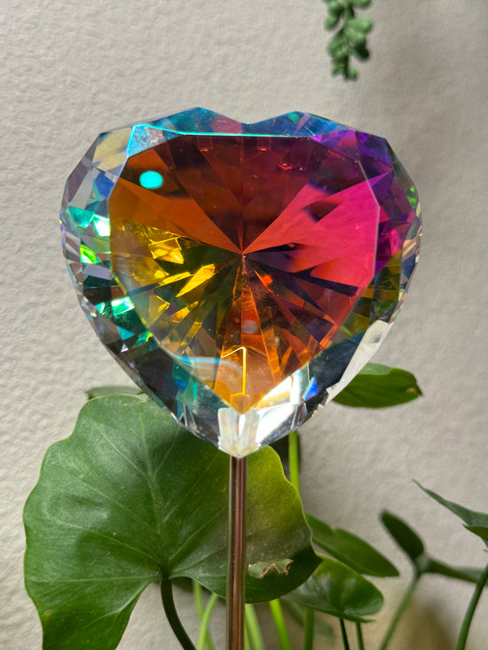 6/23 Large Aura Heart Suncatcher Plant Crystal