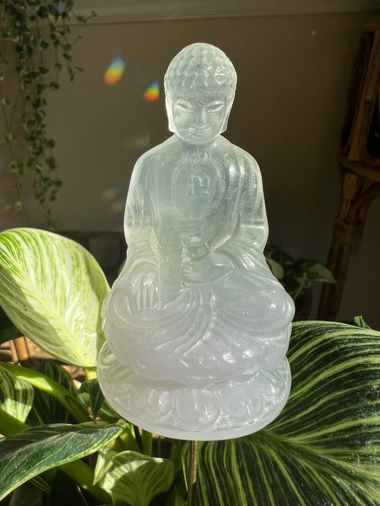 Fluorite Buddha in Lotus Plant Crystal