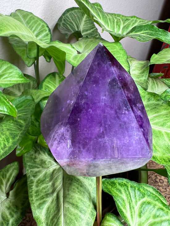 8/27 Premium Amethyst Plant Crystal