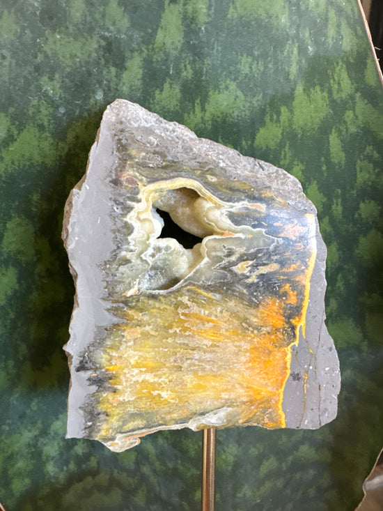 4/11 Bumblebee Jasper