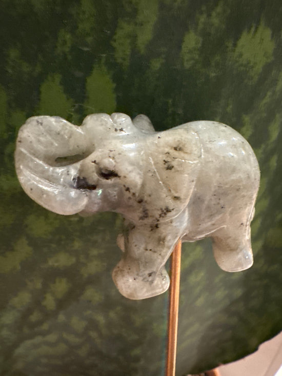 3/23 Labradorite Elephant