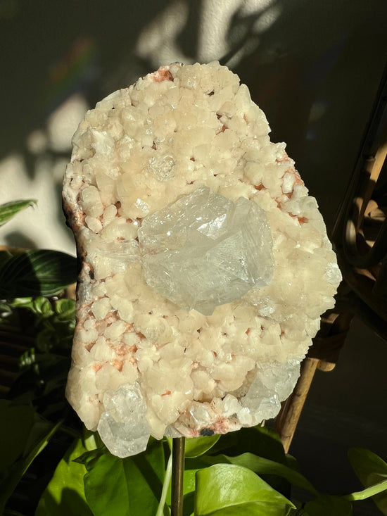 Peach Apophyllite and stillbite Plant Crystal