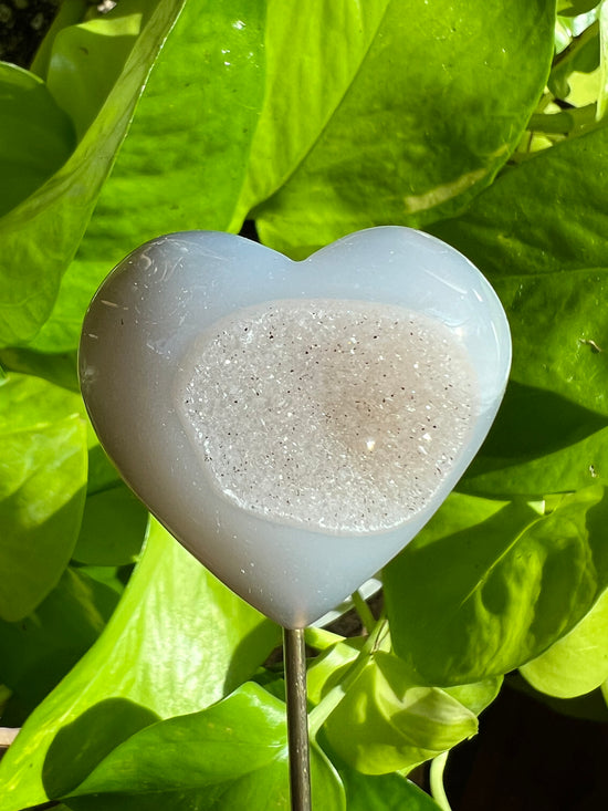 Bridal Veil Agate Heart with Drusy Plant Crystal