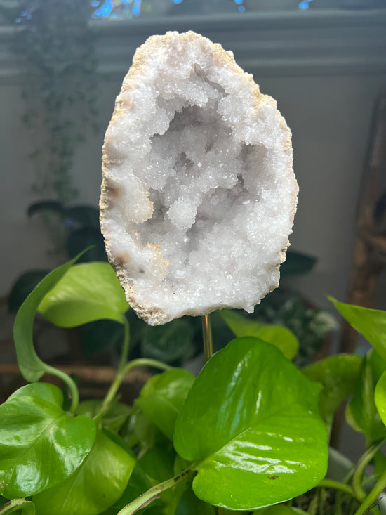 Crystal Temple Moroccan Geode Plant Crystal