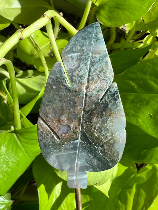 Sacred Garden Moss Agate Leaf Plant Crystal