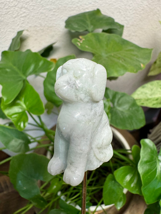 4/25 Amazonite Dog