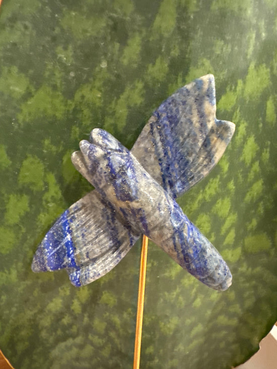 4/18 Sodalite Dragonfly