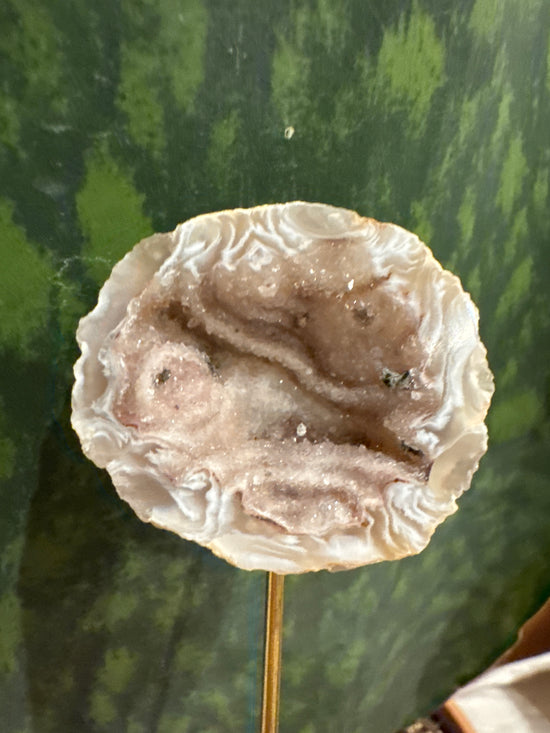 4/18 Rose Qtz Agate Geode