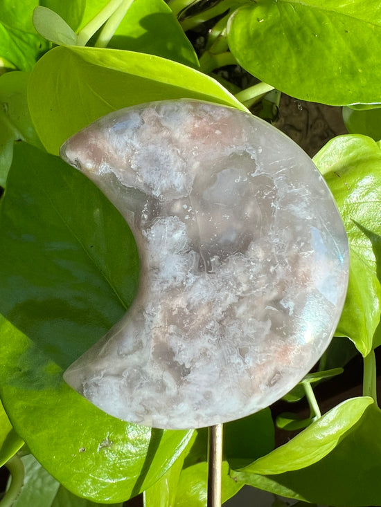 Kimono Flower Agate Moon Plant Crystal