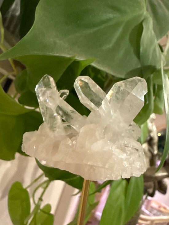 MG Clear Quartz Cluster