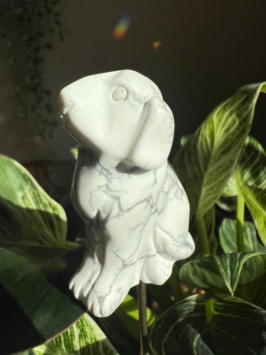 Fella Dog White Howlite Plant Crystal