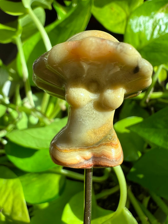 Chickadee Banded Agate Mushroom Goddess Plant Crystal