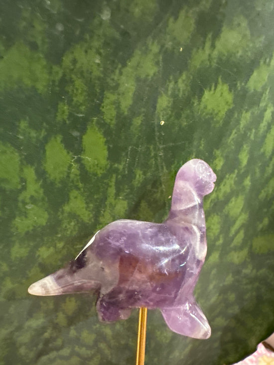 5/4 Dino amethyst