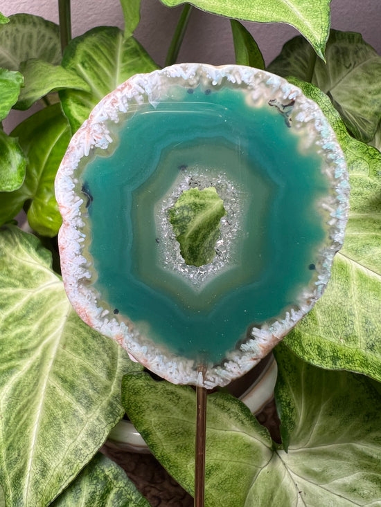 8/27 Green Agate Plant Crystal