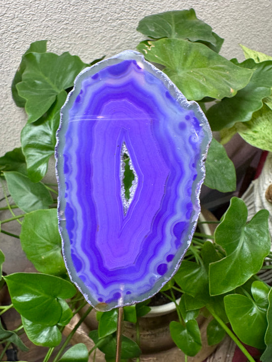 5/19 Purple Agate