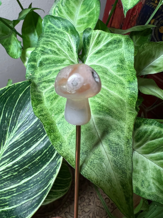 9/28 Mini Mushroom Plant Crystal