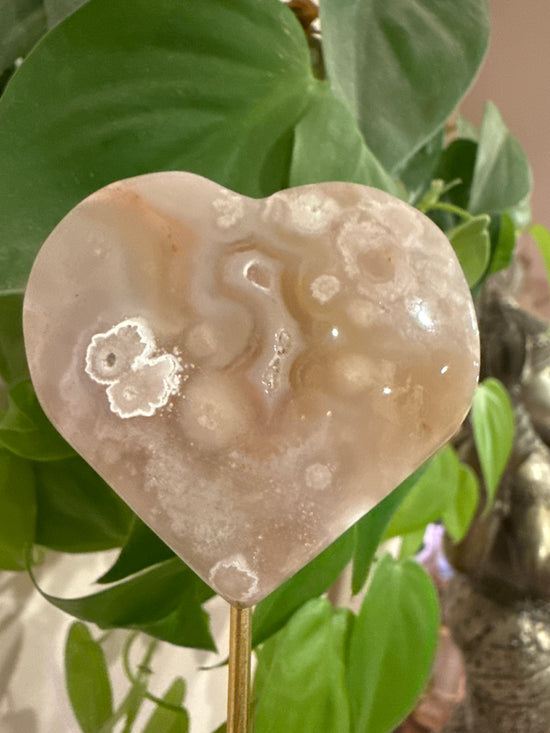 MG Heart Flower Agate