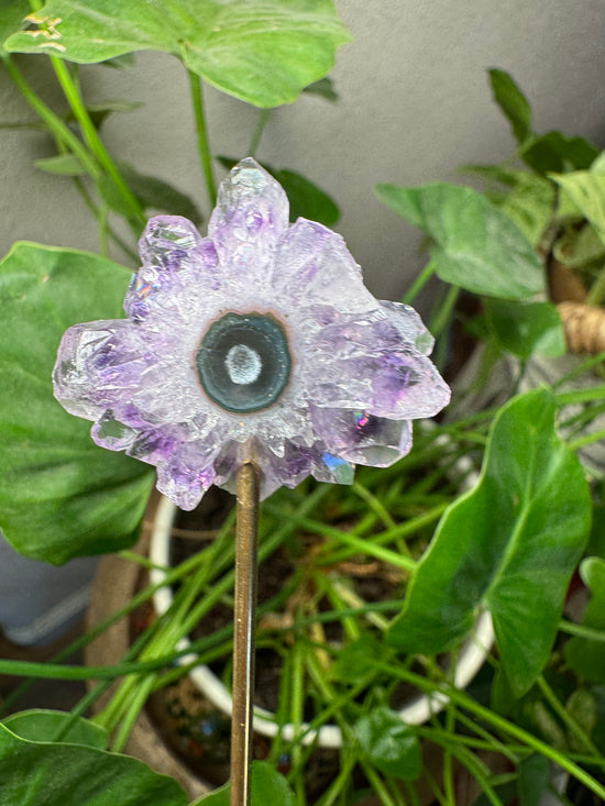 Mini Amethyst Flower Stalactite