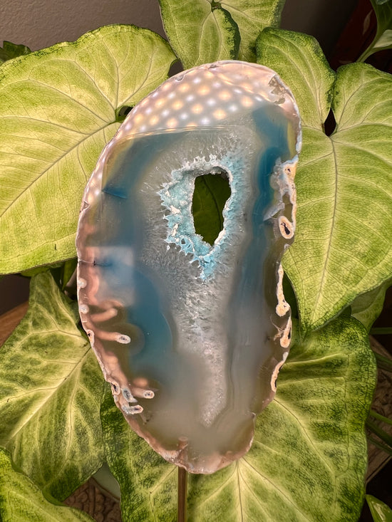 8/23 Blue Agate Plant Crystal