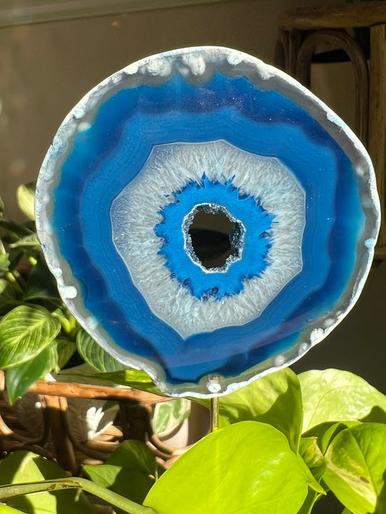 Amalfi Blue Agate Plant Crystal