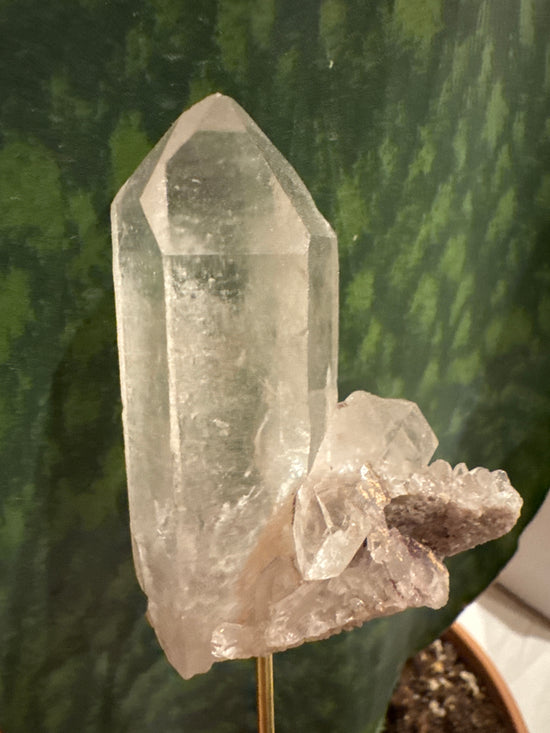3/28 Pink Lemurian