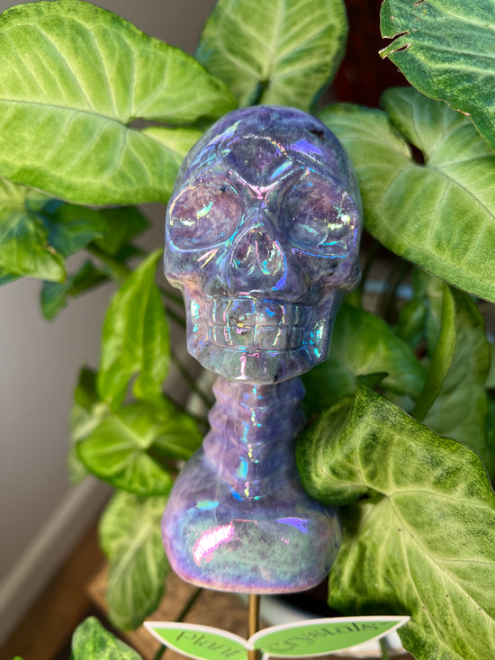 9/17 Angel Aura Amethyst Skeleton Plant Crystal