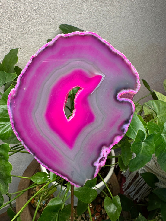 6/20 Large Pink Agate