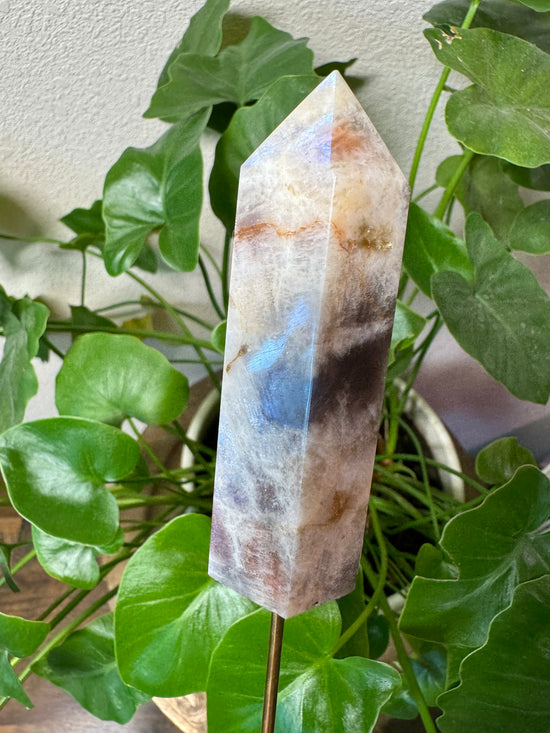 5/26 Moonstone Sunstone