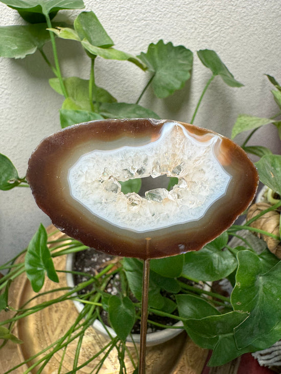 8/29 Natural Agate