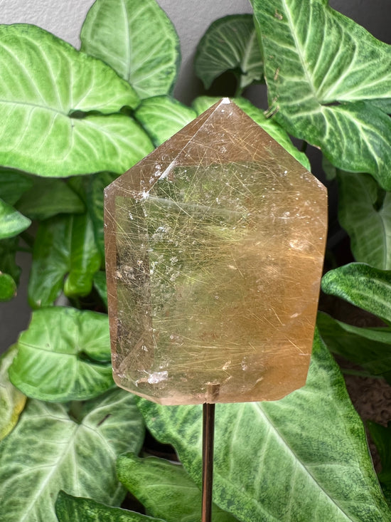 9/24 Gold Rutile Quartz Plant Crystal