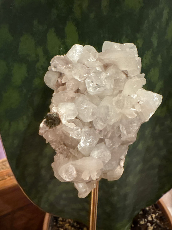 3/2 Pink Apophyllite
