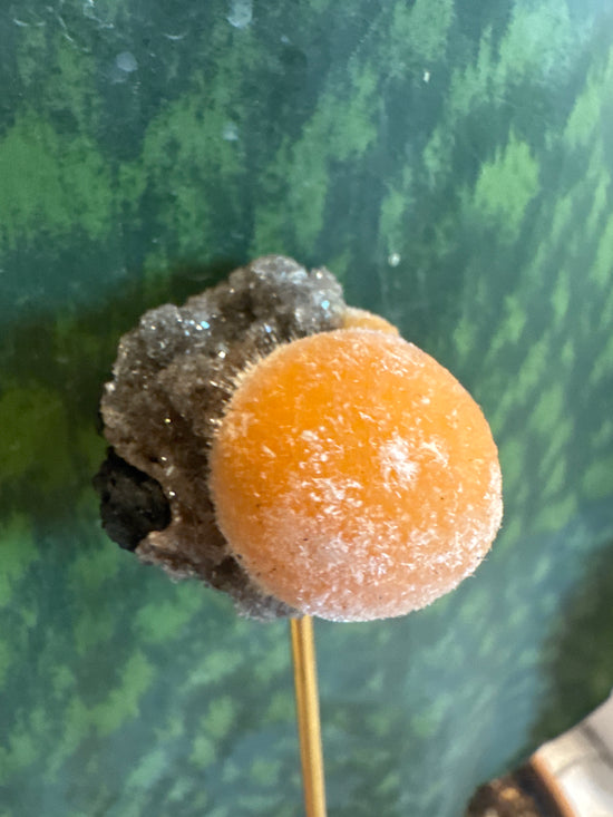 5/9 Orange Horton fuzzball