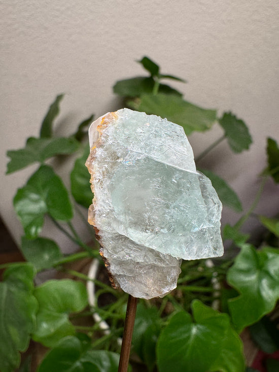 6/9 Mini Raw Fluorite