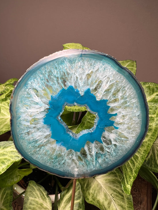 8/20 Teal Plant Crystal