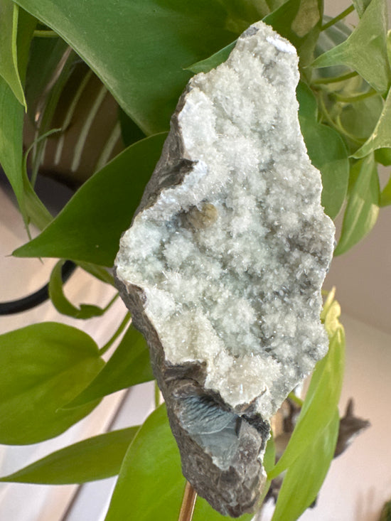 Miranda Green Amethyst