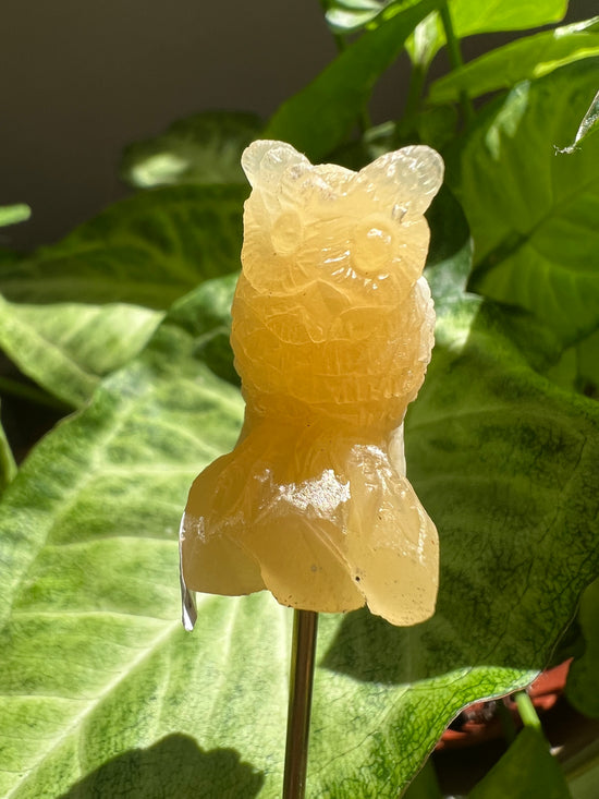 8/17 Orange Calcite Owl Plant Crystal