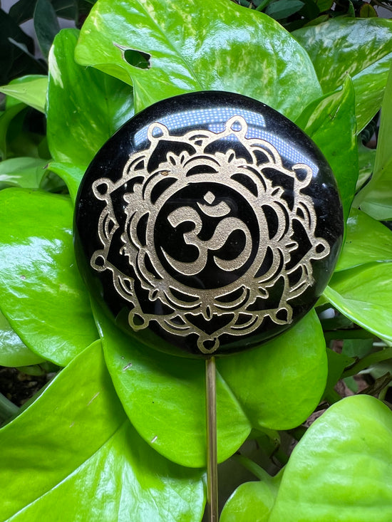 OM Black Obsidian Plant Crystal