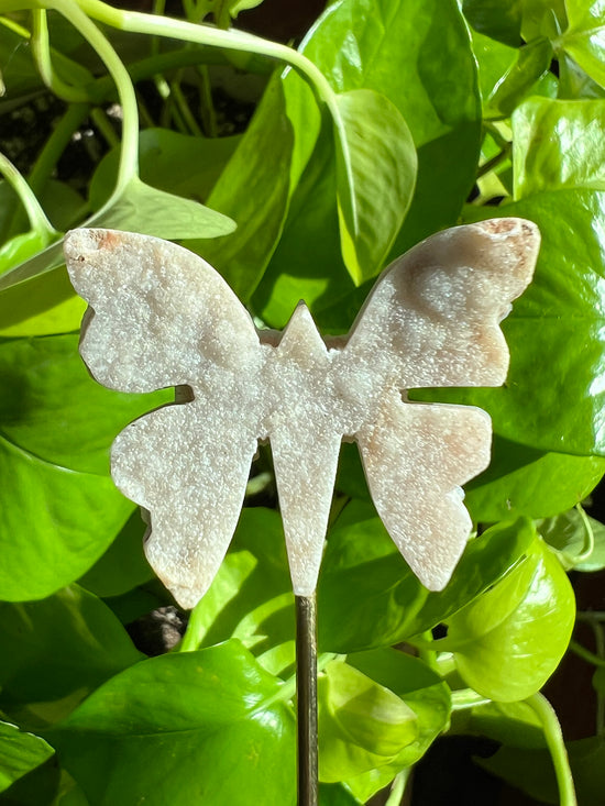 Poem Druzy Quartz Butterfly Plant Crystal