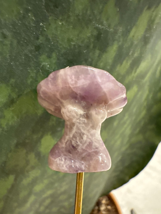 4/18 Mini Amethyst Mushy Goddess