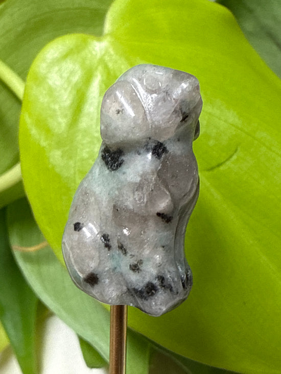 Dotti Dalmatian Jasper Dog Mini