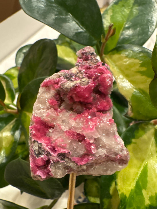 4/13 Cobalto Calcite & Rose Quartz