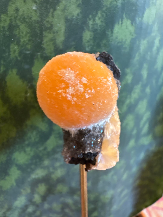 2/28 Orange fluff