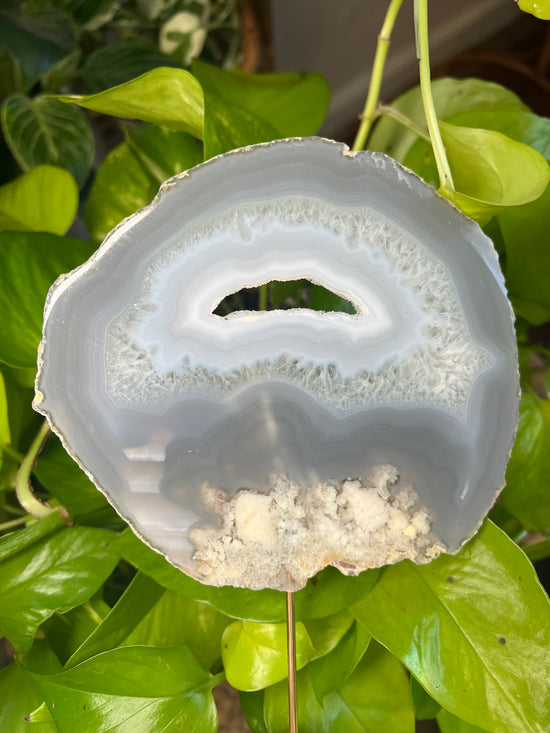 Cloud Bed Blue Lace Natural Agate Plant Crystal