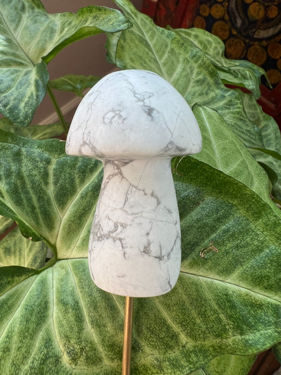 9/3 White Howlite Mushroom Plant Crystal