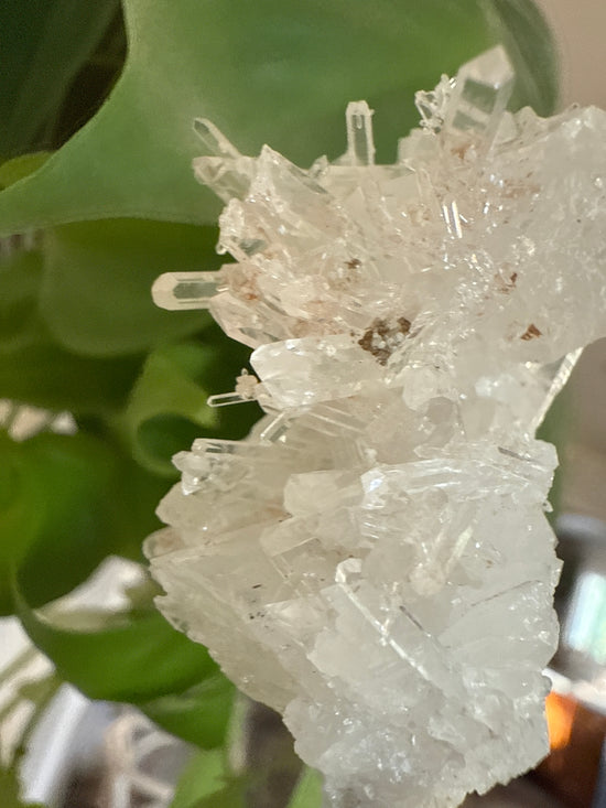 6/1 Lemurian Quartz cluster
