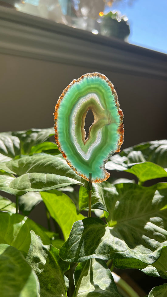 8/17 Green Agate Plant Crystal