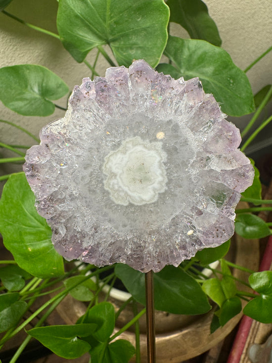 3/7 Amethyst Flower